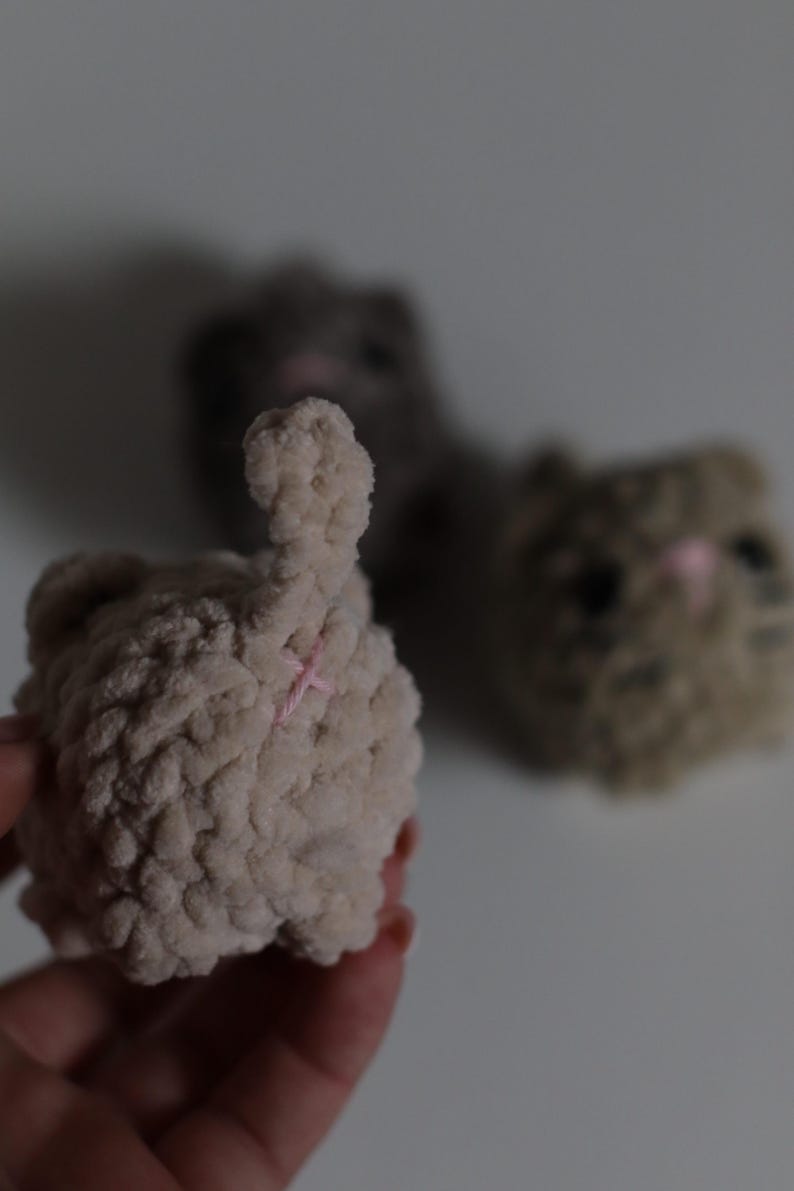 May include: Close-up of a light beige crocheted cat butt with a pink cross-stitch detail. Another similar cat butt is slightly out of focus in the background. The cat butts are handmade and likely part of a larger collection.