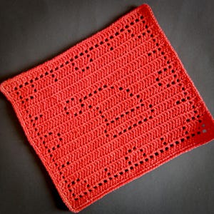 May include: A square, hand-crocheted item in a vibrant coral color. The piece features a repeating pattern of small, evenly spaced holes, adding texture and visual interest. The edges are neatly finished, showcasing the craftsmanship of the handmade textile.