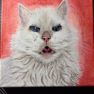 Custom Animal Canvas Drawing