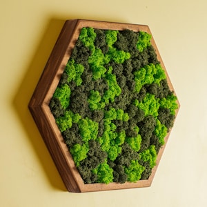 Moss Wall Art, Preserved Moss Wall Decor, Honeycomb Wood And Moss Wall Art, Living Room Decor, Wall Hangings, Housewarming Gifts