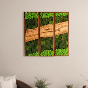 Moss and Olive Wood Wall Art, Natural Olive Wood & Moss Wall Decor for Home, Farmhouse Decor, Moss Art, Wall Hanging, Gift For Him