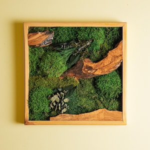 Custom Made Moss Wall Decor, Preserved Stabilized Moss and Olive Wood Wall Art, Unique Home Decor, Living Room decor, Wall Hangings