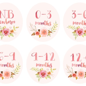 Baby Girl Infant Clothing Printable Tags Labels Dividers for Nursery Closets - Vintage Floral Watercolor - Newborn to 12+ Months