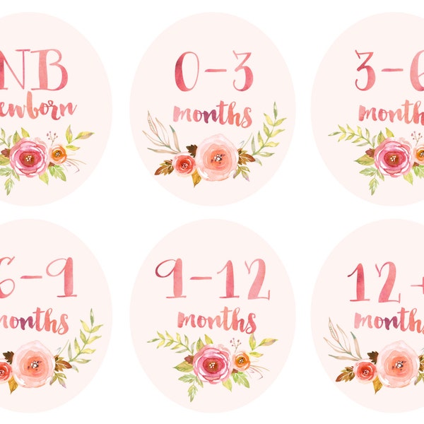 Baby Girl Infant Clothing Printable Tags Labels Dividers for Nursery Closets - Vintage Floral Watercolor - Newborn to 12+ Months