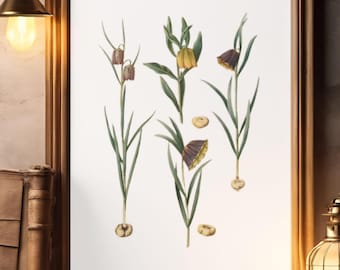 Vintage Wall Art Fritallaria Botanical Print Antique Floral Print Digital Download Flower Art Antique Botanical Print Vintage Fritillaria