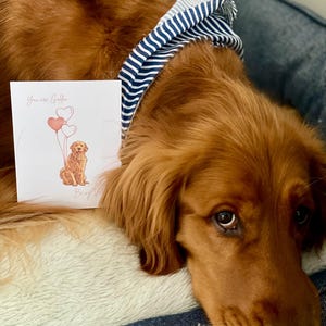Golden retriever, día de San Valentín, perros, tarjetas de felicitación, descarga digital