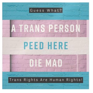 A Trans Person Peed Here Sticker - Trans Rights Are Human Rights - Gifts MTF - Gifts For FTM - Transgender Pride Decal - LGBTQ Ally Merch