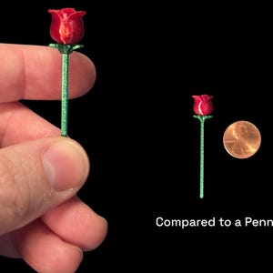 Rose Toy Discreet