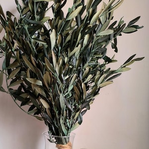Branche d'olivier, branche d'olivier naturelle préservée, branche décorative rustique, décoration estivale, feuille d'olivier, olivier naturel. 1 pièce x 1 branche