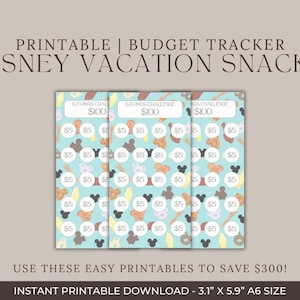 Disney Savings Challenge | Vacation Savings Challenge | Snack Budget | Budget Tracking
