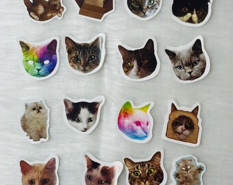 Cartoon Cat Stickers, Assorted Paper Shapes - 45 pc
