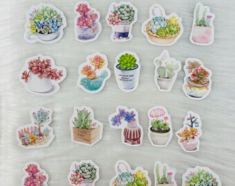 Mini Sukkulenten Sticker