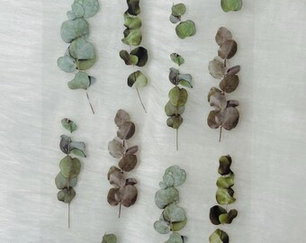 Stickers eucalyptusblad: botanische plannerstickers