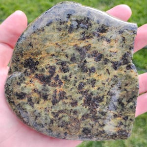 Nephrite Gem Serpentine Canadian Fraser River Rock Cobble, 1161g / 1.5lb, 2.954 density