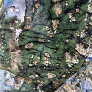 Noble Serpentine 34kg 75lb Boulder for Centerpiece, Landscape Decoration, Healing, and Lapidary, Green New Jade Healerite 2.74 density