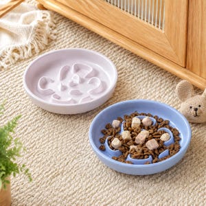automatic dog feeder wet food Pre-Sale