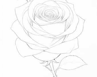Flower Coloring Pages: 50 Printable Designs for Relaxation (Digital Download)