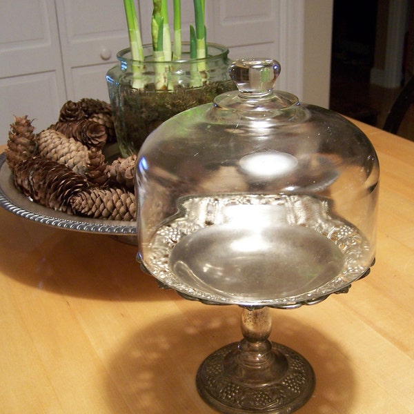 Vintage Glass Cloche