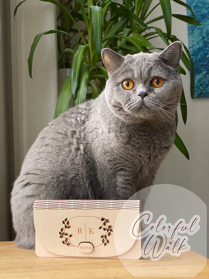 Puede incluir: Un gato British Shorthair gris con ojos naranjas est&aacute; sentado cerca de una caja de madera grabada con las iniciales "R K" y la fecha "02.02.20". La caja tiene un dise&ntilde;o floral. Las palabras "Colorful Walk" est&aacute;n escritas en cursiva.
