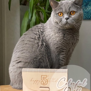 May include: A gray British Shorthair cat with orange eyes sits near a wooden card with the words "happy 5th birthday" engraved on it. The card has a slot and a decorative design. The words "Colorful Walk" are also visible.