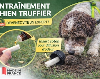 Kit di addestramento al tartufo per cani da tartufo – addestramento olfattivo – giocattolo educativo per cani – kit di addestramento al tartufo per cani