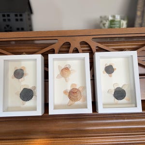 Peut inclure: Trois cadres photo blancs avec des vitres, chacun présentant un arrangement différent de coquillages. Les coquillages sont disposés de manière décorative, certains se chevauchant. Les cadres sont tous de la même taille et de la même forme, et ils sont tous accrochés à un mur en bois.