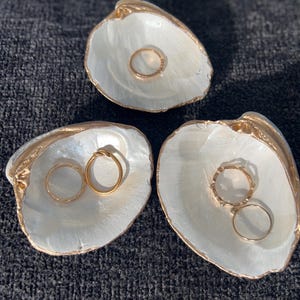 Puede incluir: Tres conchas de ostra blancas con borde dorado, cada una con un anillo de oro. Las conchas están dispuestas sobre una superficie texturizada gris oscuro, creando una exhibición costera y elegante para joyas.
