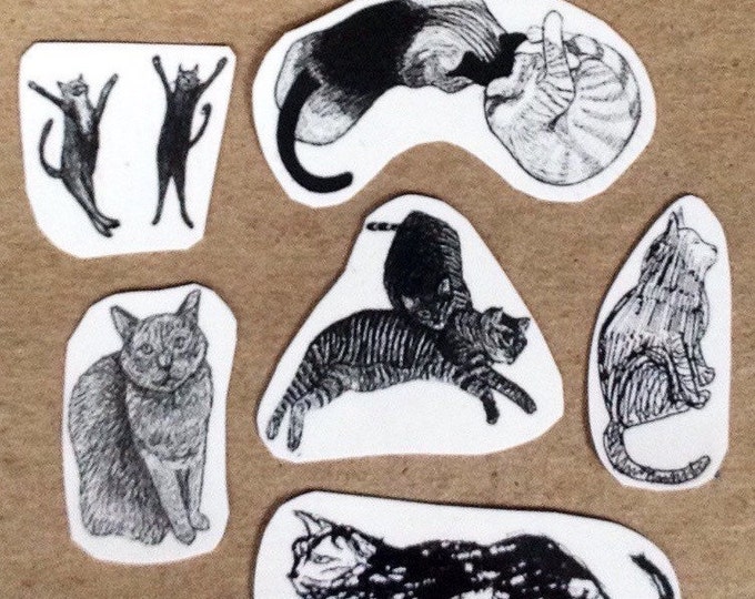 Cat Temporary Tattoos Set of 6 Tattoos Etsy