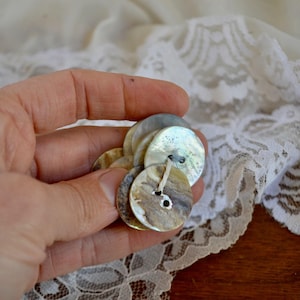 8 large mother of pearl buttons, antique mother of pearl buttons lot, 1 inch mother of pearl buttons, big beige mother of pearl buttons