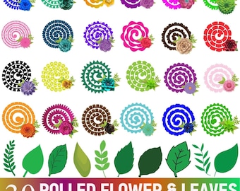 Fiore arrotolato Svg, Fiore di carta, Fiore da matrimonio, Fiore 3D, File Cricut di fiore arrotolato, Decorazione di regali, Foglia di carta Svg, Disegni a strati Svg