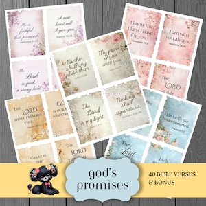 May include: A set of 40 Bible verses and bonus content, printed on decorative cards with floral designs. The cards display various scriptures and quotes, with a vintage style. A poodle illustration is also included.