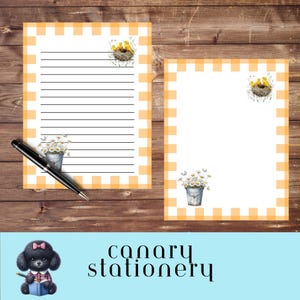 Papelaria com ninho de pássaro canário, conjunto de papelaria com borda xadrez, folhas para escrever cartas para amigos por correspondência, papéis para impressão botânicos, páginas com margaridas florais