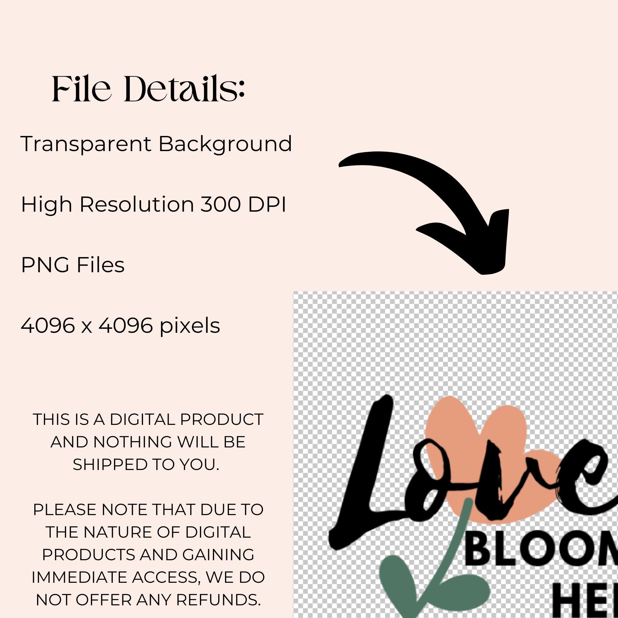 Spring Vibes 47 PNG Clipart & Sticker Bundle Commercial Use Graphics ...