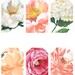 Floral Printable Gift Tags, Floral Gift Tags, Printable Gift Tags, Gift ...