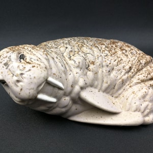 May include: A ceramic walrus figurine with a white and brown speckled finish. The walrus is lying on its side with its tusks visible.