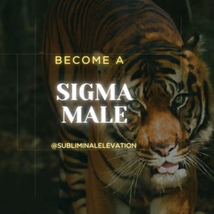 Pode incluir: Um close-up do rosto de um tigre com o texto "Become a Sigma Male" e o nome de usuário de mídia social "@subliminalelevation" abaixo.