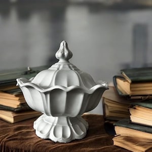 white ironstone Sydenham shape tureen • English antique ironstone • T&R Boote -Victorian, 1853