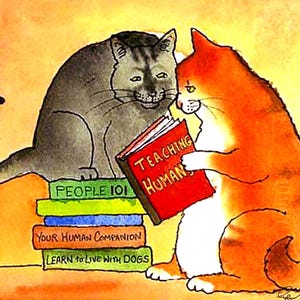 May include: Watercolor illustration of two cats. One gray cat sits beside a stack of books with titles like "People 101" and "Your Human Companion." An orange cat reads a book titled "Teaching Humans."