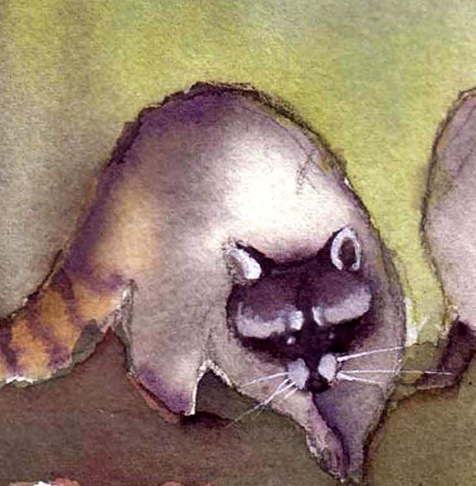 Raccoon Watercolor Painting Art Print: 'three Little Rascals' Greeting ...