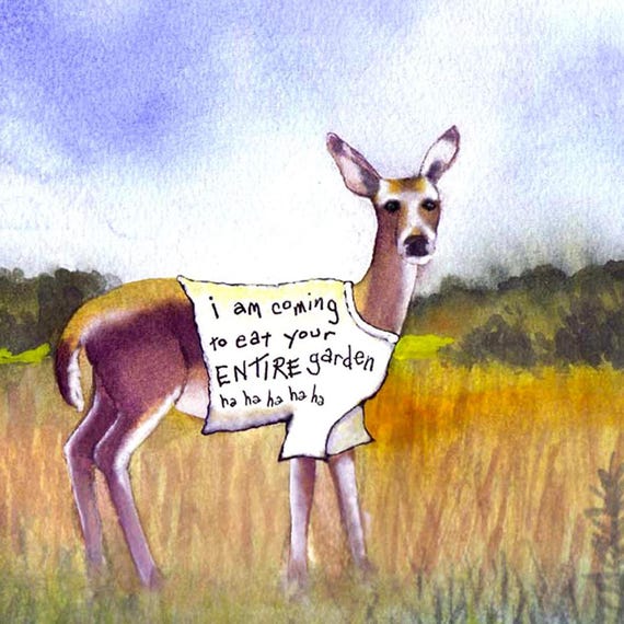 Funny Deer Watercolor Greeting Card: Garden Humor Art Print