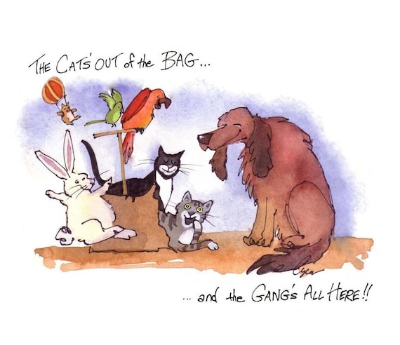 Funny Pets Card Animals Birthday Card Dog Cat Bunny Rabbit - Etsy Sweden Funny Pets Card Animals Birthday Card Dog Cat Bunny Rabbit - Etsy Sweden