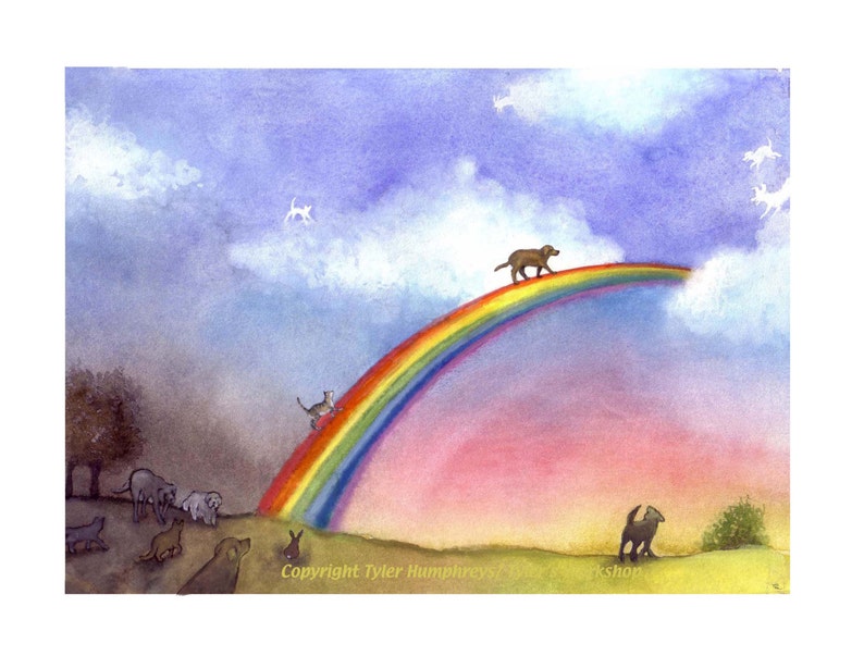 Pets Pet Bereavement Card Pet Sympathy Card Dog Sympathy Card Cat Sympathy Card Loss Of Pet Card with Poem on Back 'Rainbow Bridge' image 1