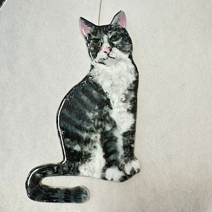May include: A glass ornament of a black and white cat with green eyes. The cat is sitting with its tail curled around its legs. The ornament has a silver hanger.