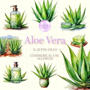 Aloe Vera Clipart Bundle – Watercolor Plant PNG for Cosmetic Labels - skincare clipart - DIY Beauty Recipes - Medical Plant - Aloe Vera Gel