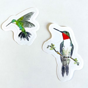 Hummingbirds Watercolor Illustration Stickers - 2 stickers