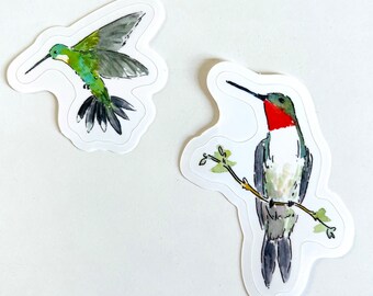 Hummingbirds Watercolor Illustration Stickers - 2 stickers