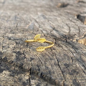 Op de afbeelding: Een gouden bladring met twee bladeren op een houten oppervlak.