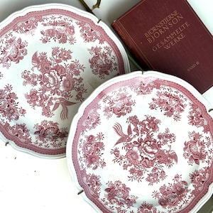 Vintage 2 x Villeroy and Boch Floral Wall Plates Red Transferware Decorative Collectible Plates