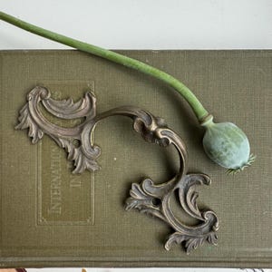 Antique Ornate Brass Drawer Handle Rococo style 19th century, solid brass drawer knob, vintage furniture hardware, acanthus leaf motifs