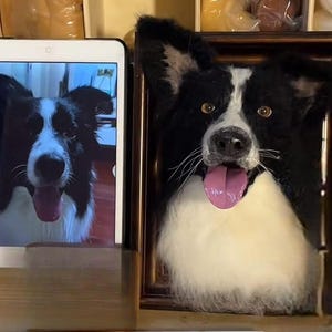 Pet Memorial Gift for Dog Lovers .Handmade Pet Portrait from Photo .Realistic Pet Replica, Felted Wool Pet